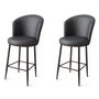 Hanah Home Uras Juego de 2 Taburetes de Bar Antracita y Negro